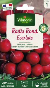 Radis Rond Ecarlate